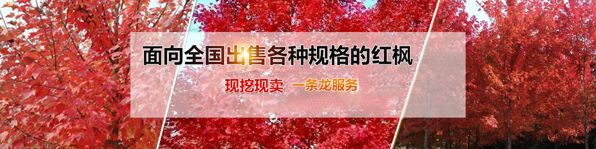 濟寧華科環(huán)??萍加邢薰?/></li>
<li><img src=